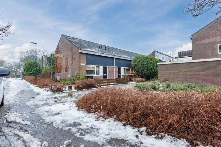 Foto 53 van Boogschutter 164