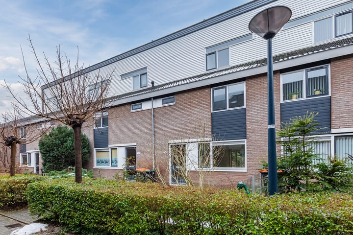 Foto 7 van Boogschutter 164