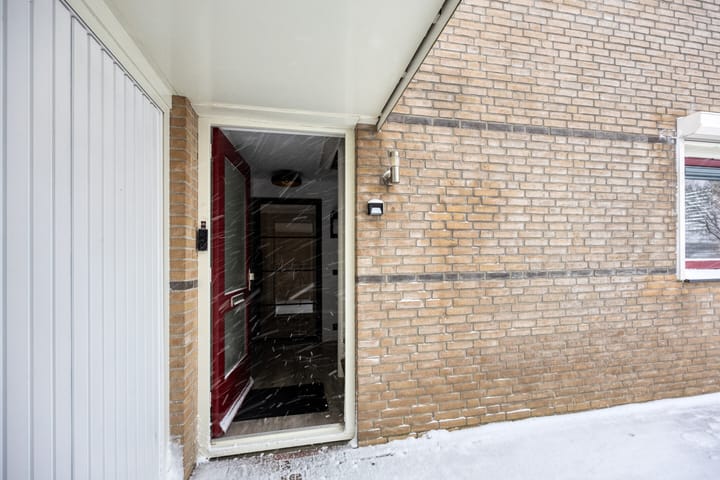 Photo 9 of Waterlelie 7