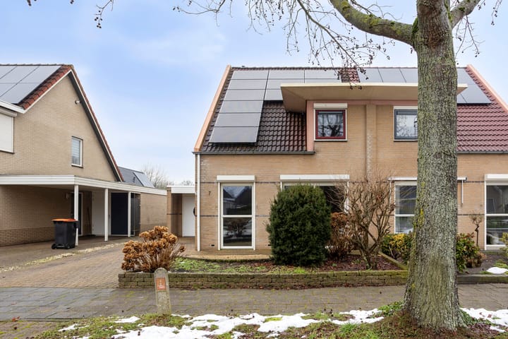 Photo 2 of Waterlelie 7