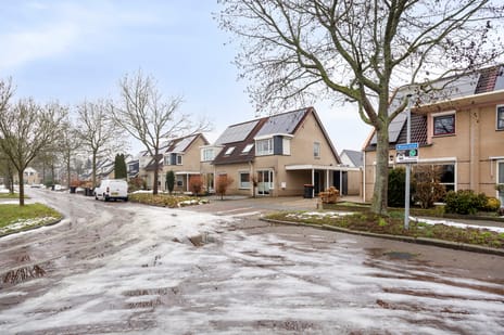 Waterlelie 7 tertiary image