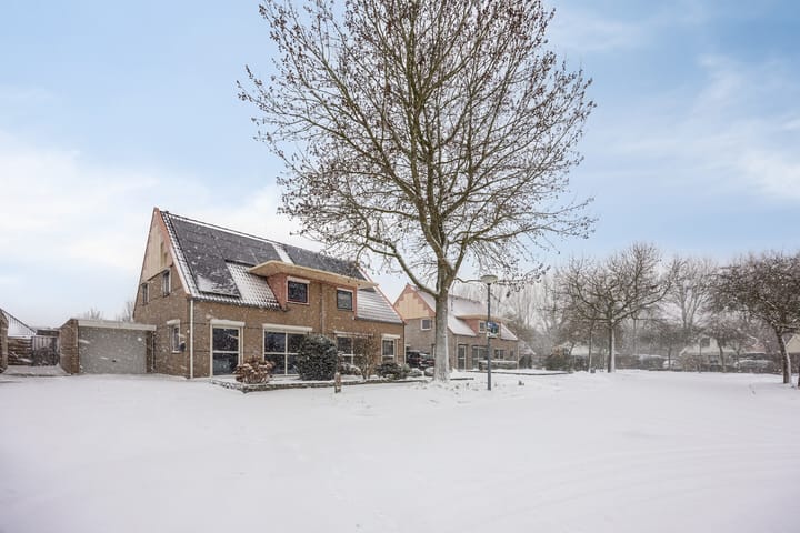 Photo 6 of Waterlelie 7