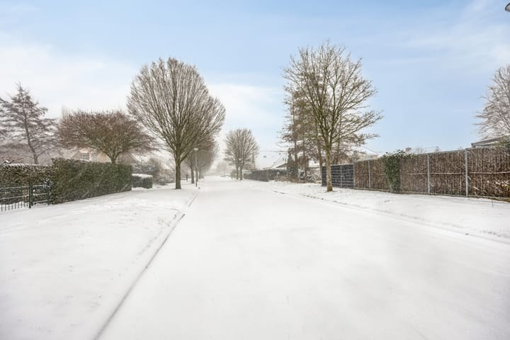 Photo 39 of Waterlelie 7