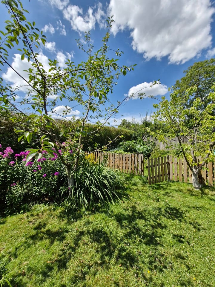 Foto 27 van Sint Josephstraat 7