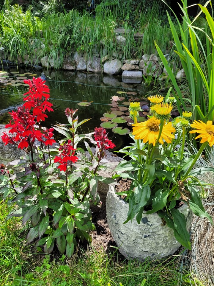 Foto 30 van Sint Josephstraat 7