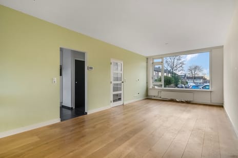 de Hank 21 secondary image