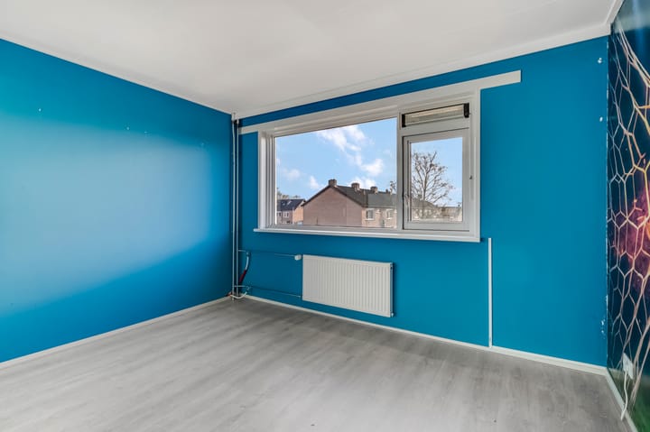 Foto 17 van de Hank 21