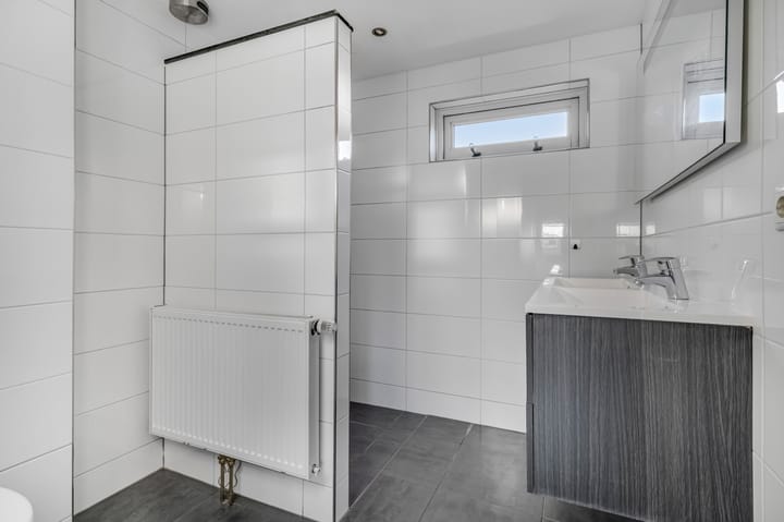 Foto 19 van de Hank 21