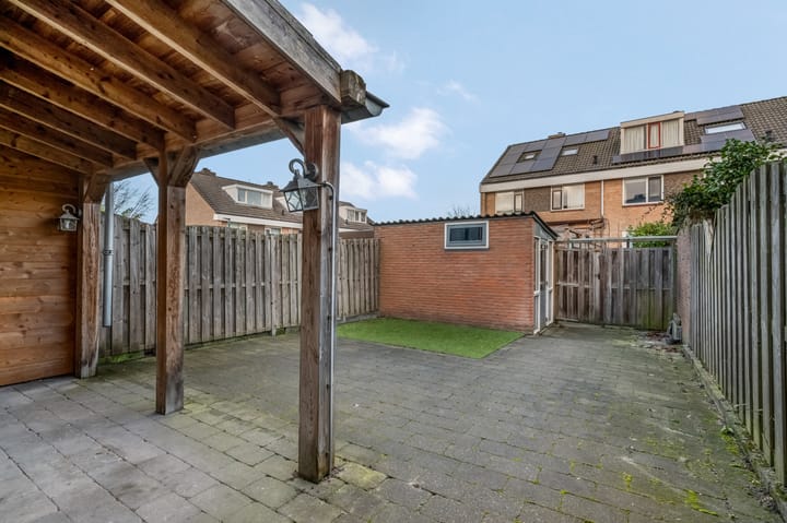 Foto 28 van de Hank 21