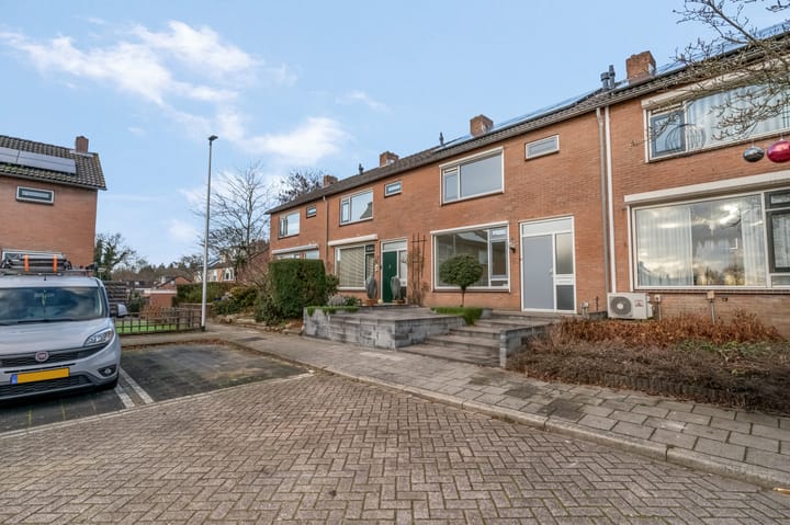 Foto 31 van de Hank 21