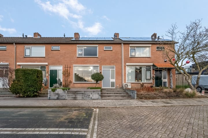 Foto 32 van de Hank 21