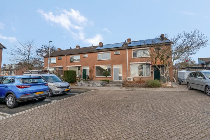 Foto 33 van de Hank 21