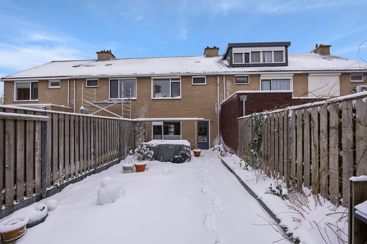 Foto 49 van Gitaar 74