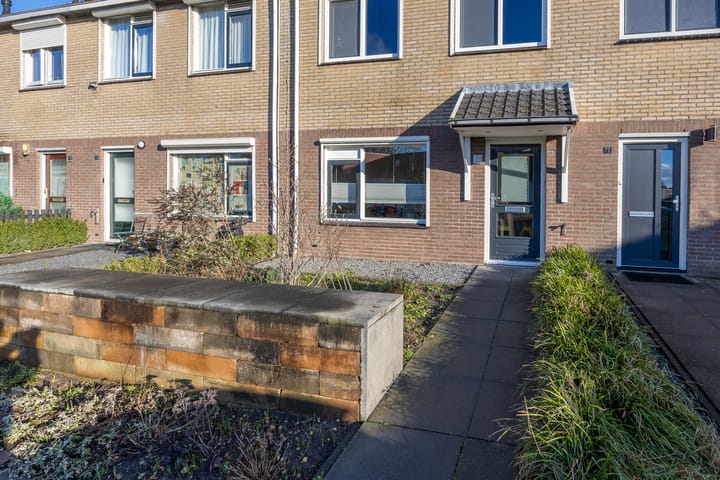 Foto 51 van Gitaar 74