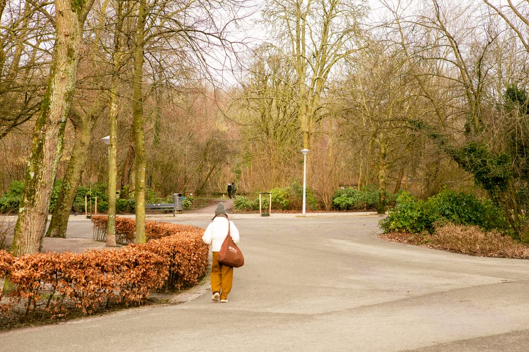 Foto 23 van Rijnsburgstraat 48-1