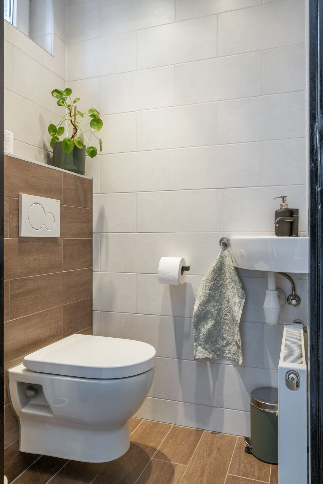 Foto 8 van Schorpioen 57