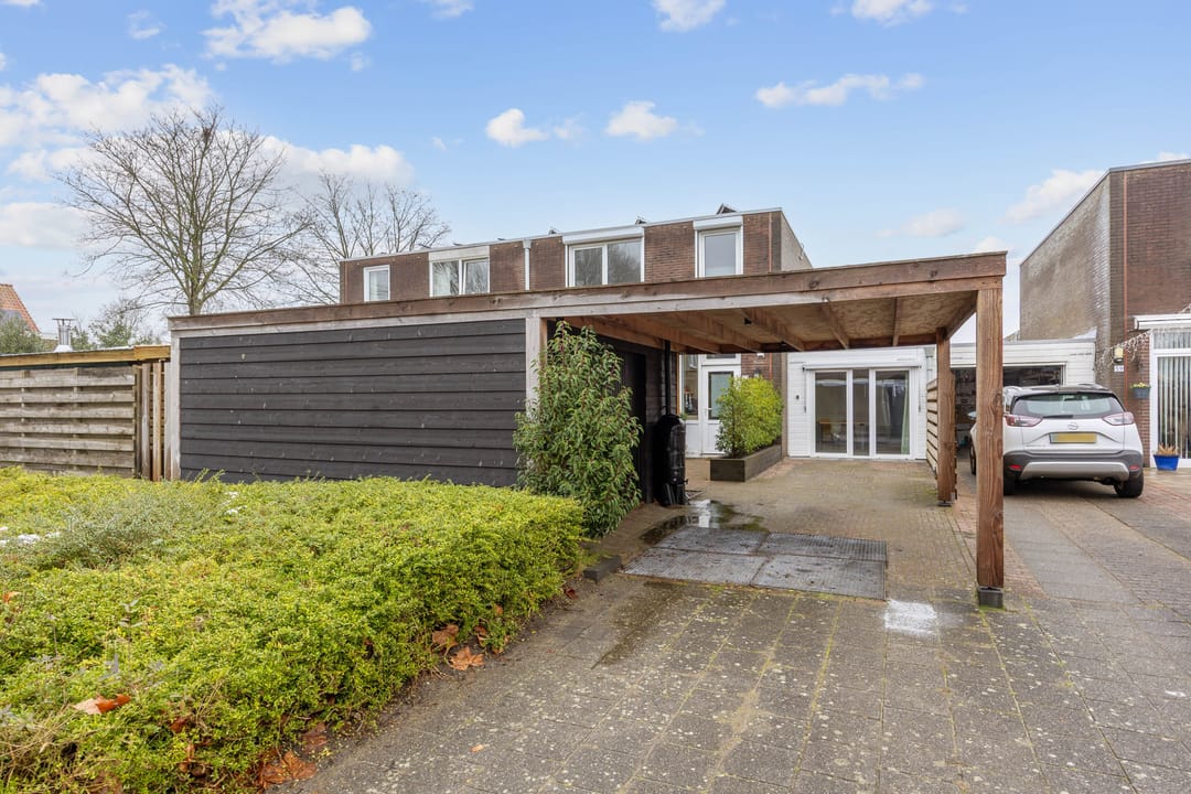 Foto 2 van Schorpioen 57