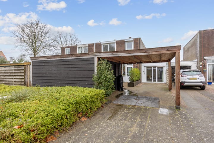 Foto 2 van Schorpioen 57