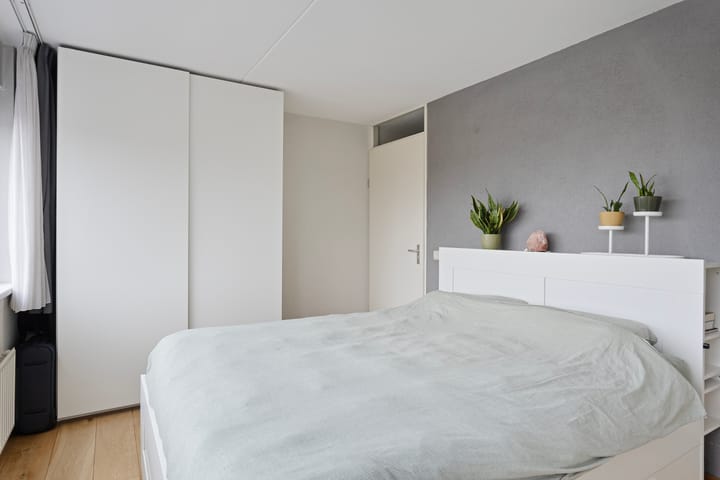 Foto 19 van Dommelstraat 161