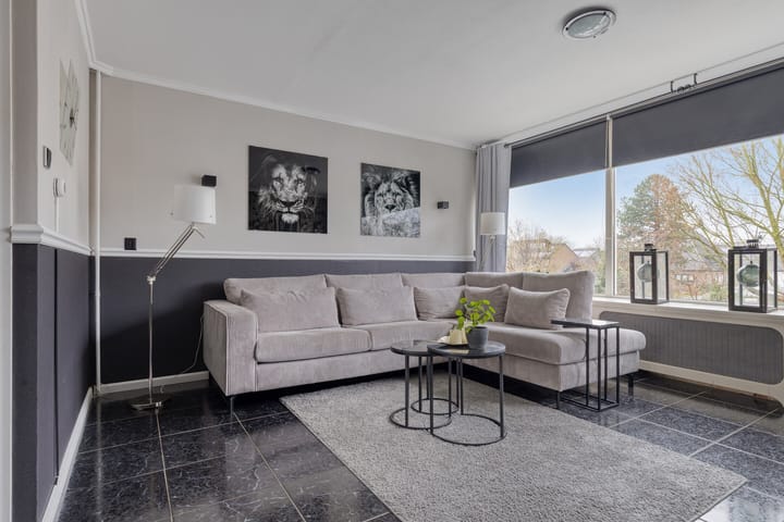 Foto 19 van Bremlaan 23