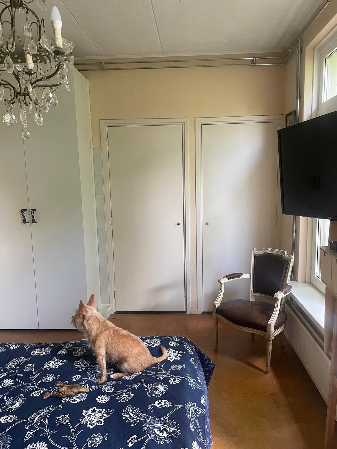 Foto 16 van Langs de Kreek 37