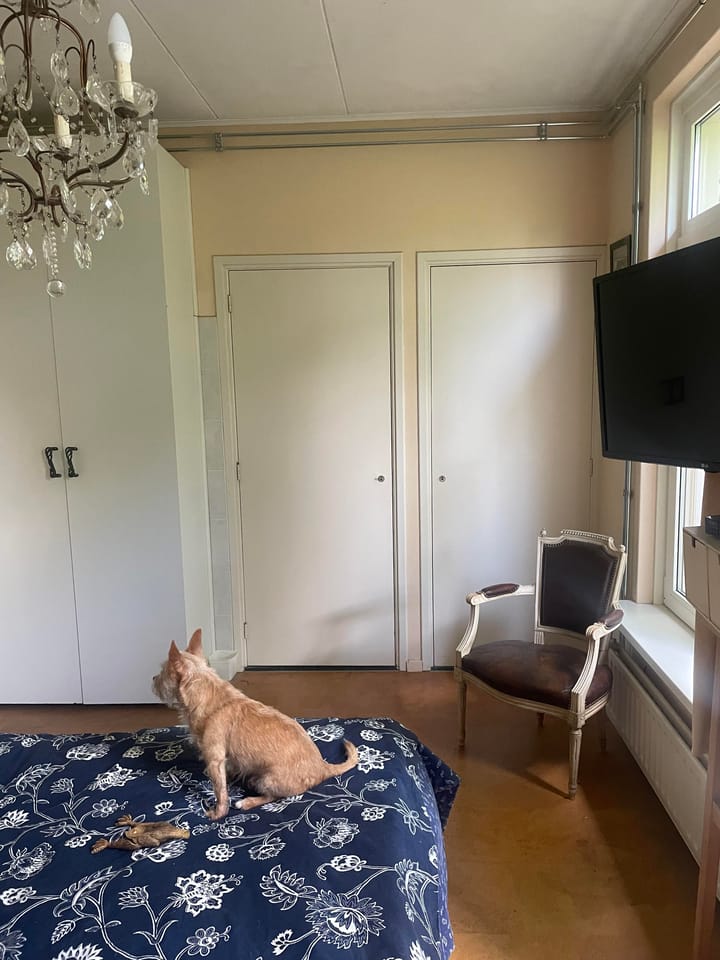 Foto 16 van Langs de Kreek 37