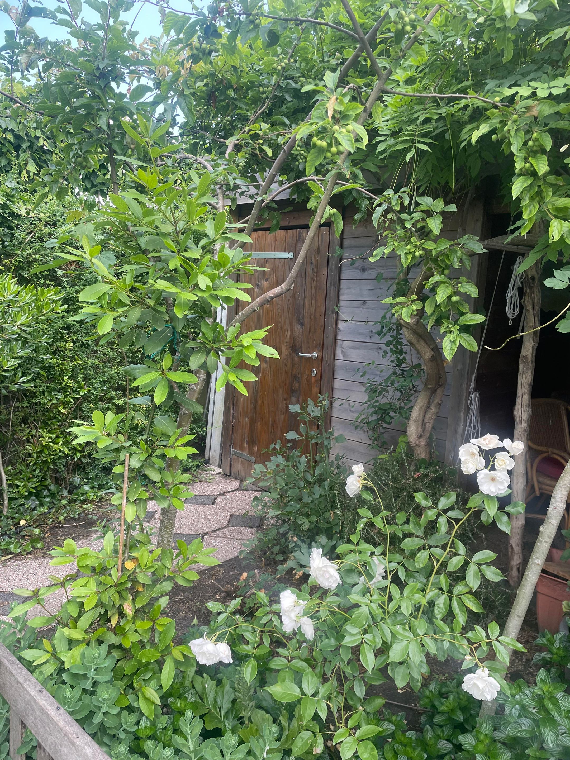 Foto 21 van Langs de Kreek 37