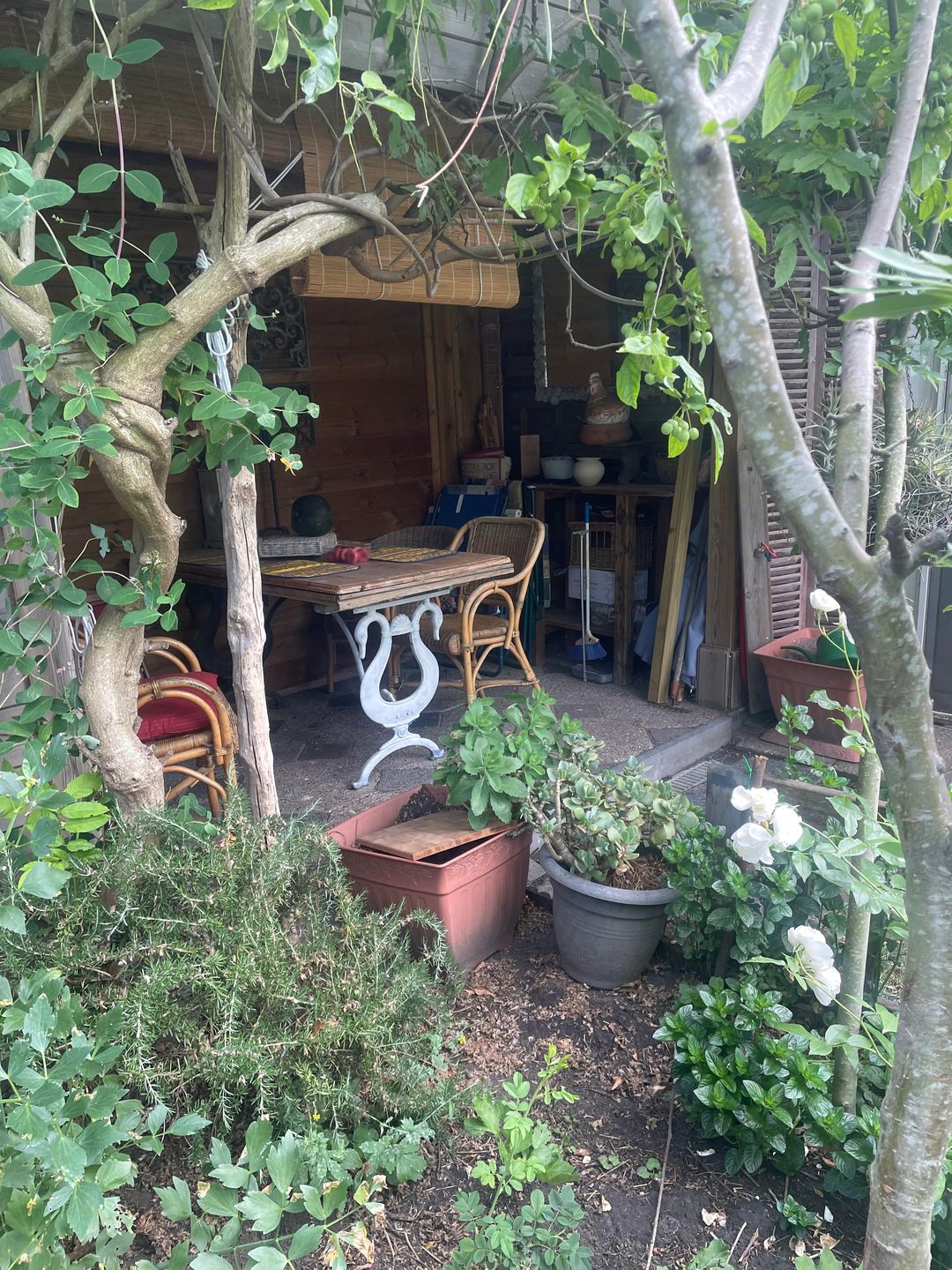 Foto 22 van Langs de Kreek 37