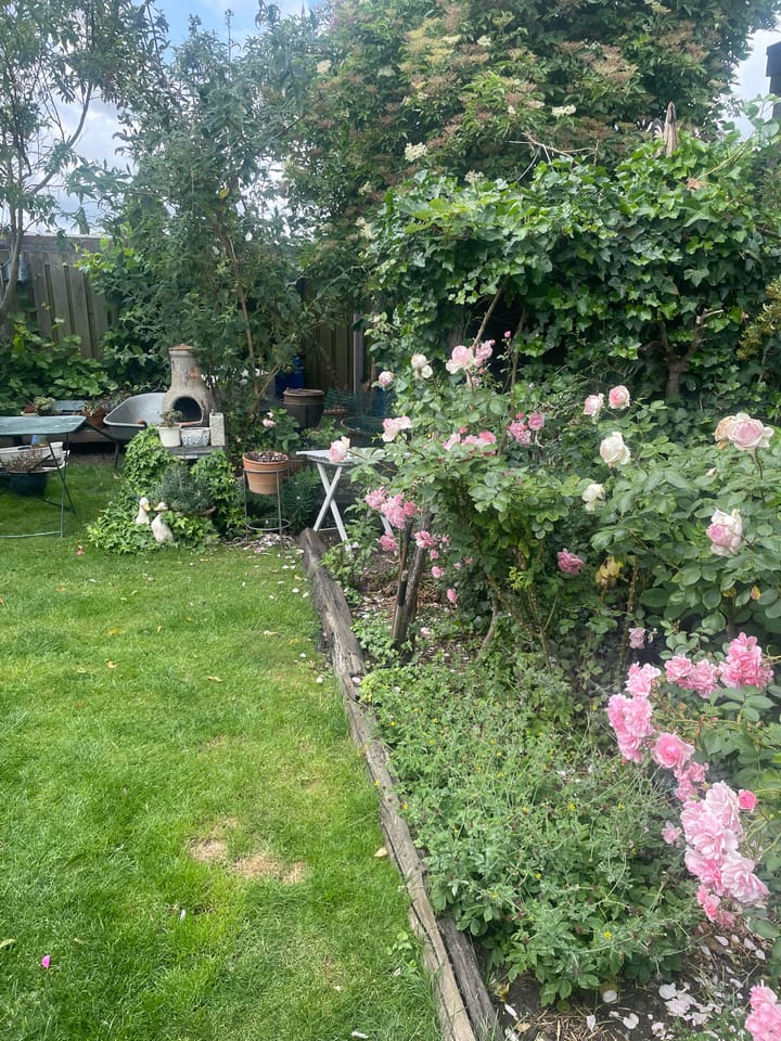 Foto 23 van Langs de Kreek 37