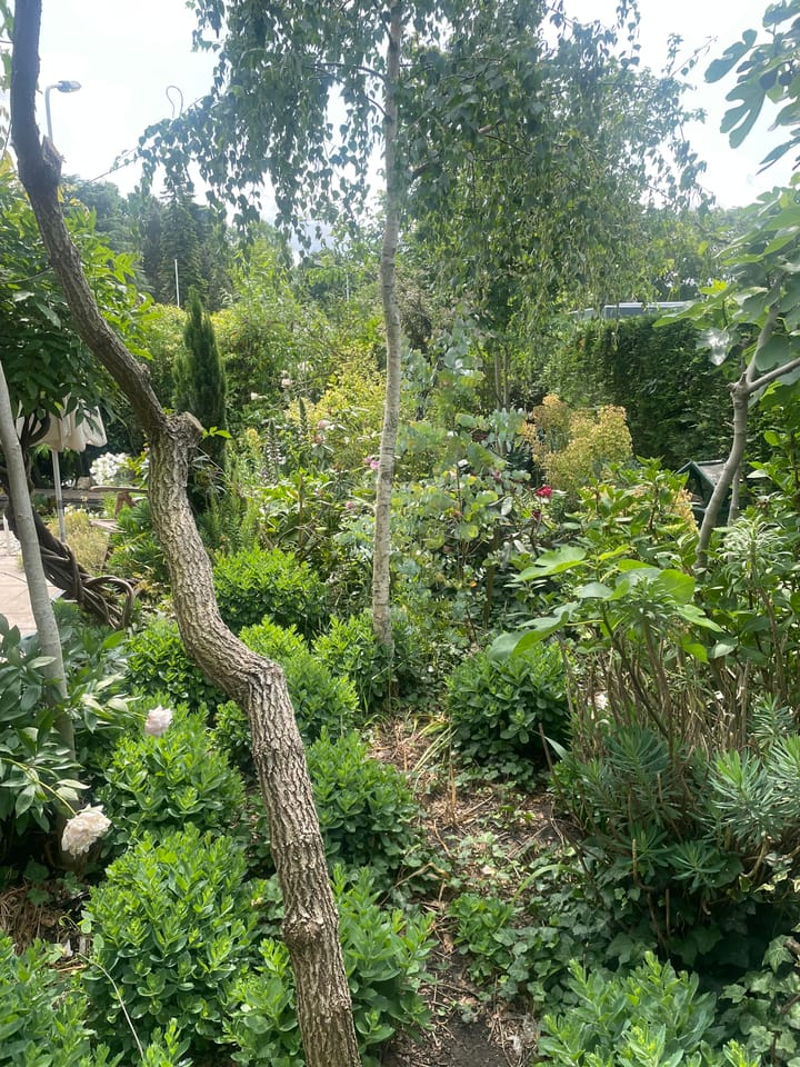 Foto 26 van Langs de Kreek 37