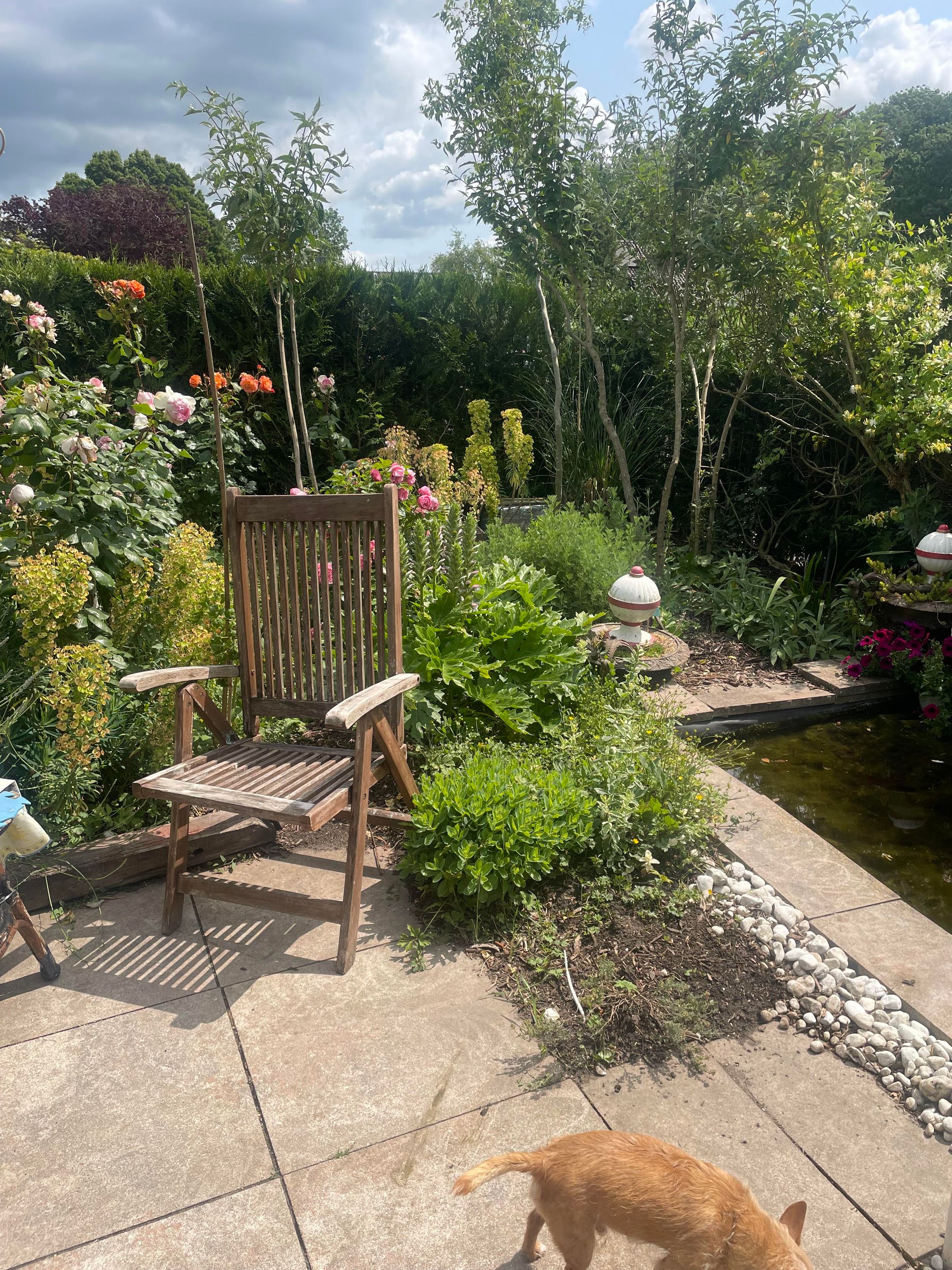 Foto 27 van Langs de Kreek 37