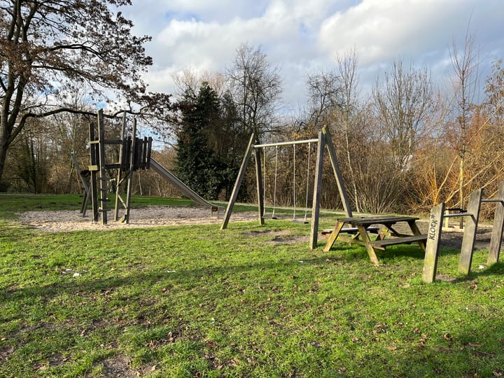 Foto 41 van Pieter van Osstraat 28