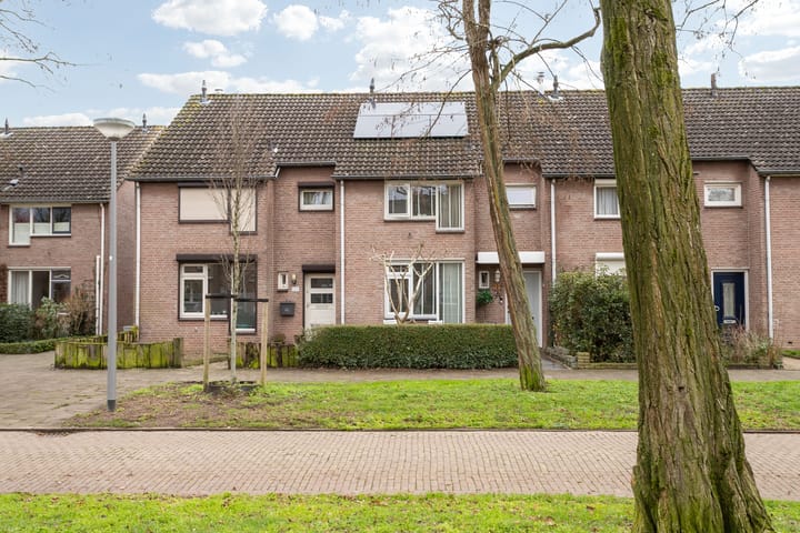 Foto 45 van Lokeren 123