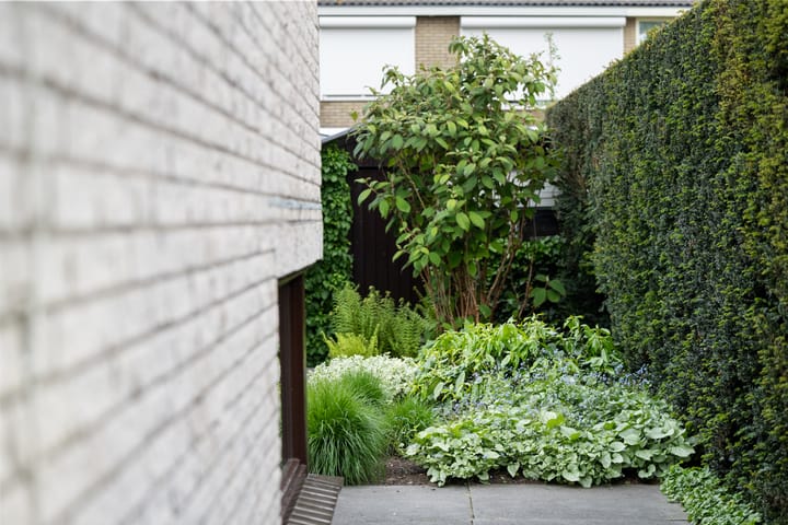 Foto 24 van van Wassenhovenstraat 34