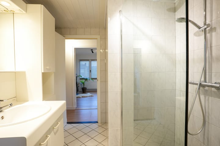 Foto 19 van Past Willemsstraat 6