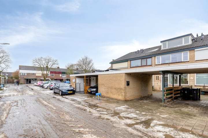 Foto 60 van Halve Morgen 63