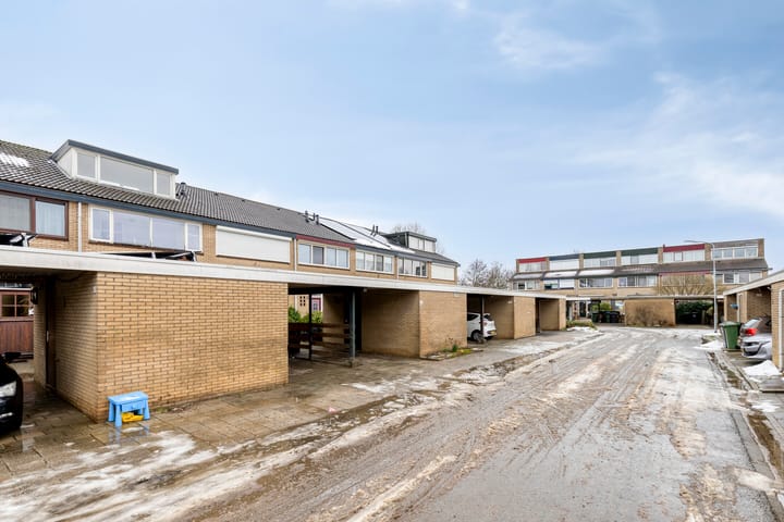 Foto 62 van Halve Morgen 63