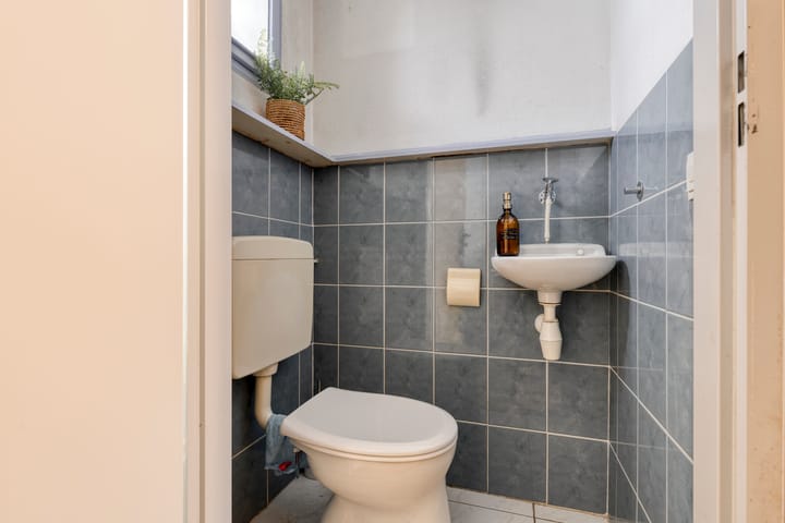 Foto 19 van Halve Morgen 63