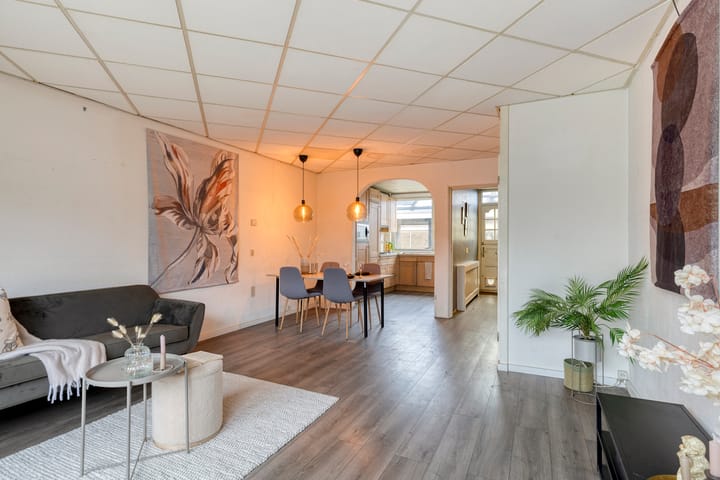 Foto 8 van Halve Morgen 63