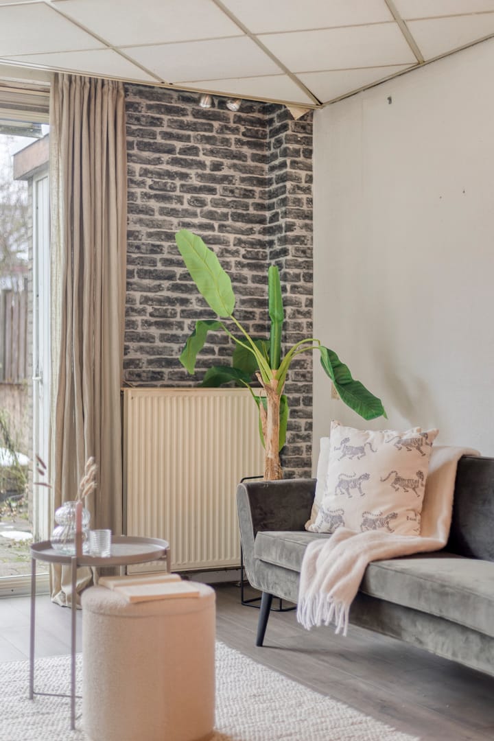 Foto 4 van Halve Morgen 63