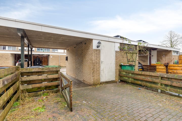 Foto 56 van Halve Morgen 63