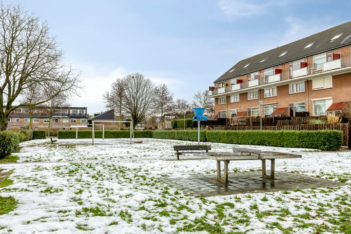 Foto 63 van Halve Morgen 63