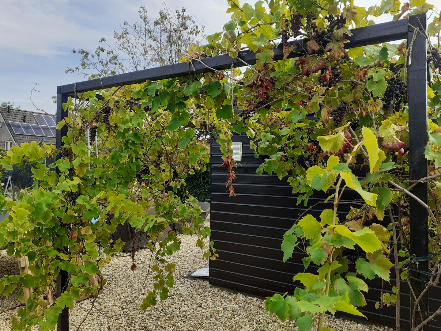 Foto 50 van Kastanjehof 34