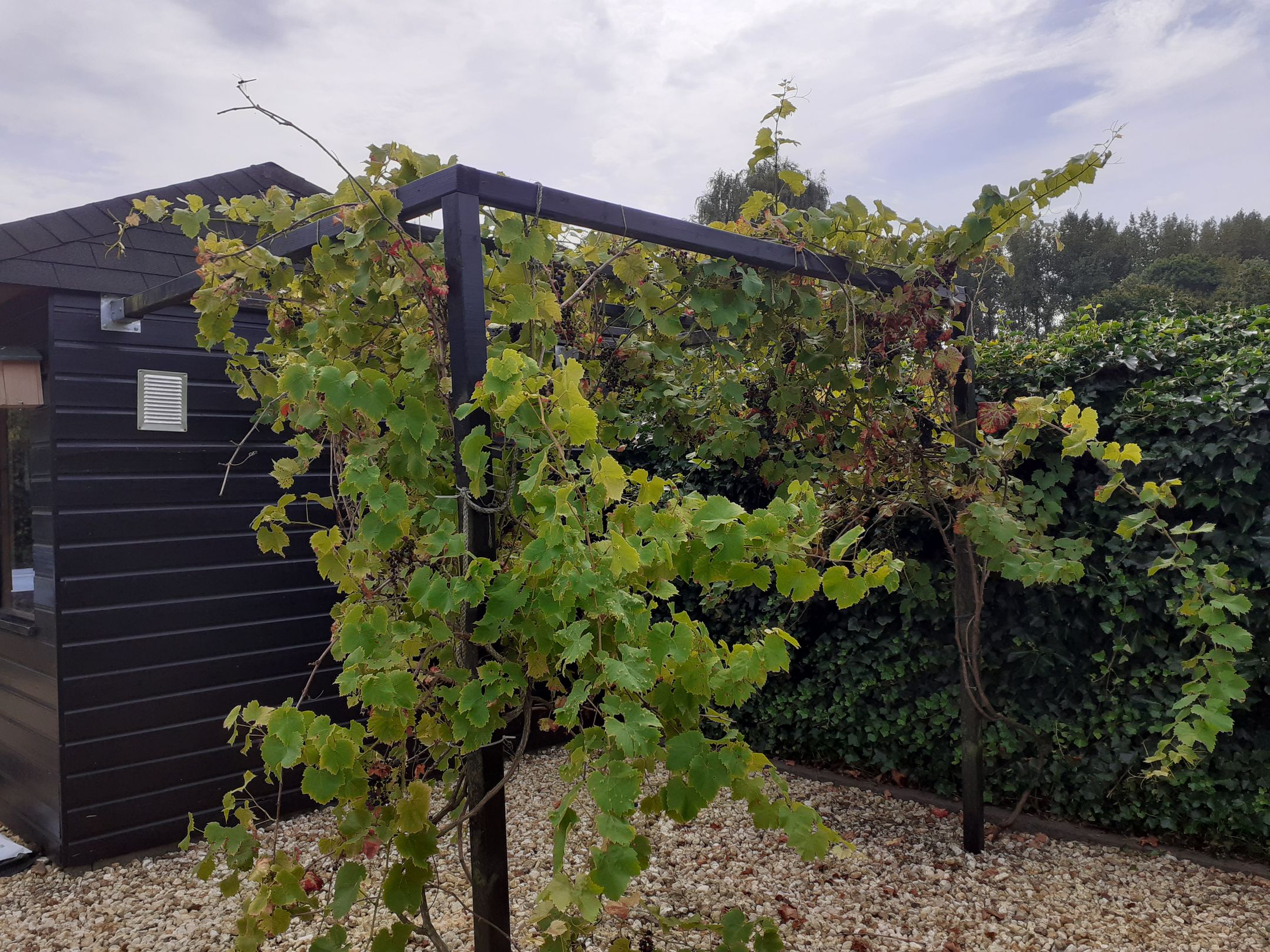 Foto 51 van Kastanjehof 34