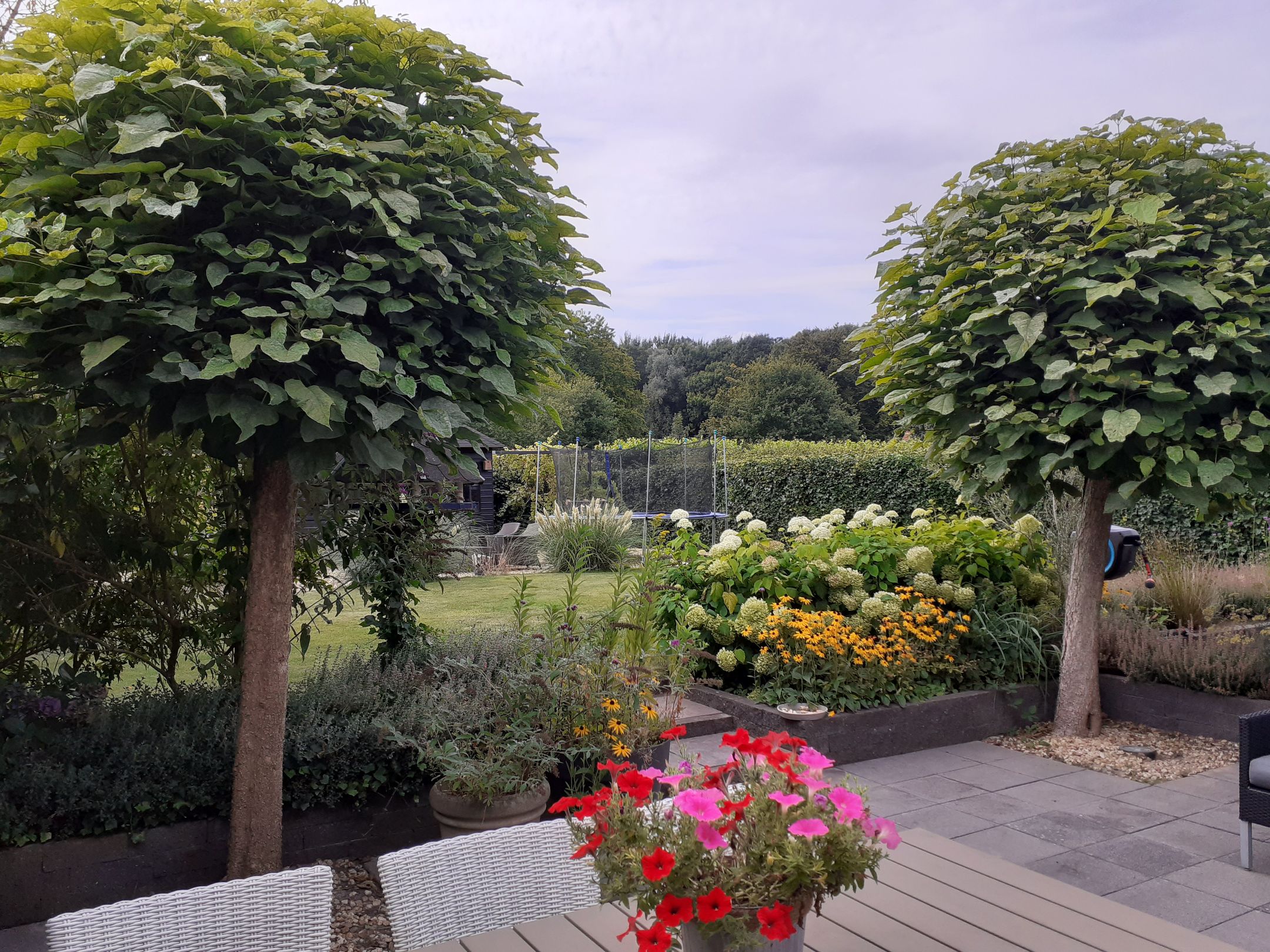 Foto 63 van Kastanjehof 34