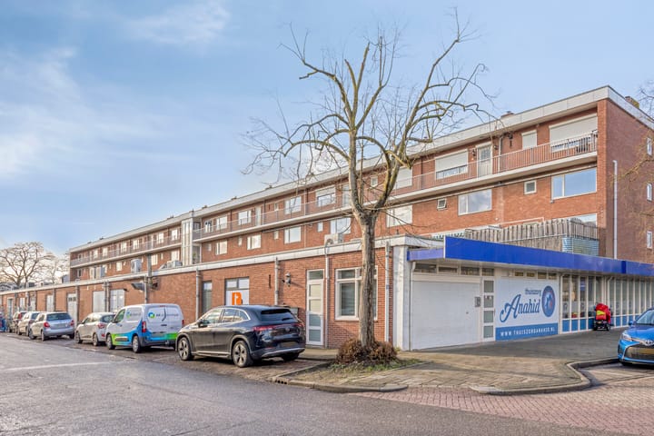 Foto 2 van Vincent van Goghplein 48