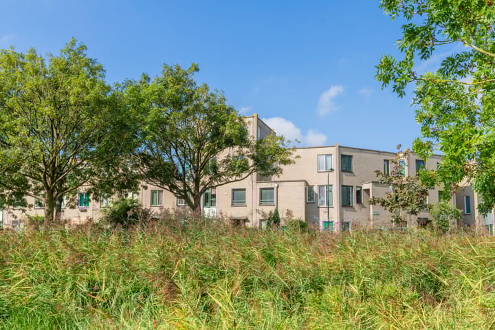 Foto 32 van Lutulistraat 28