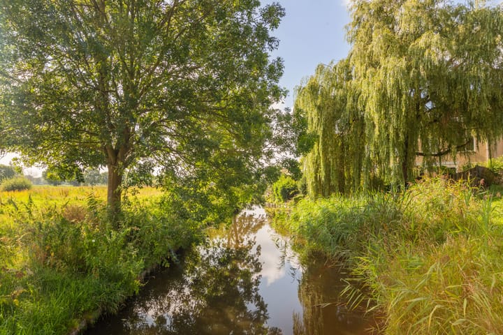 Foto 36 van Lutulistraat 28