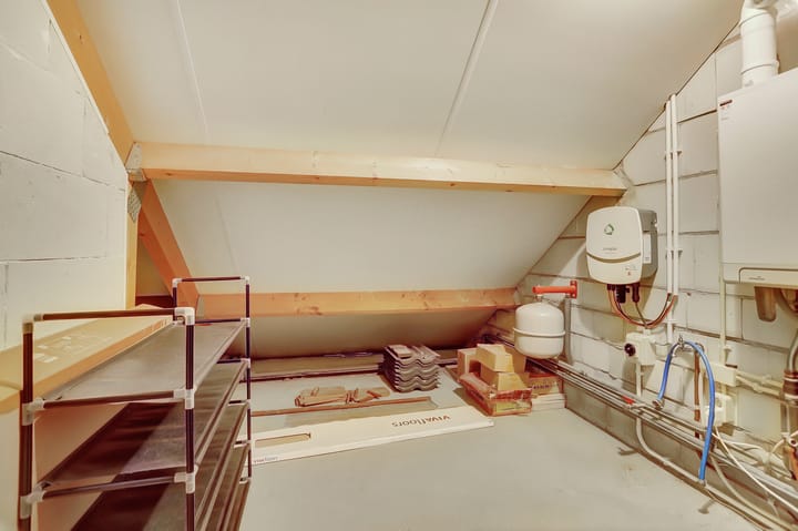 Foto 50 van Asperge 49