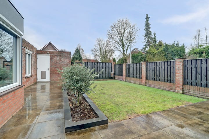 Foto 60 van Asperge 49